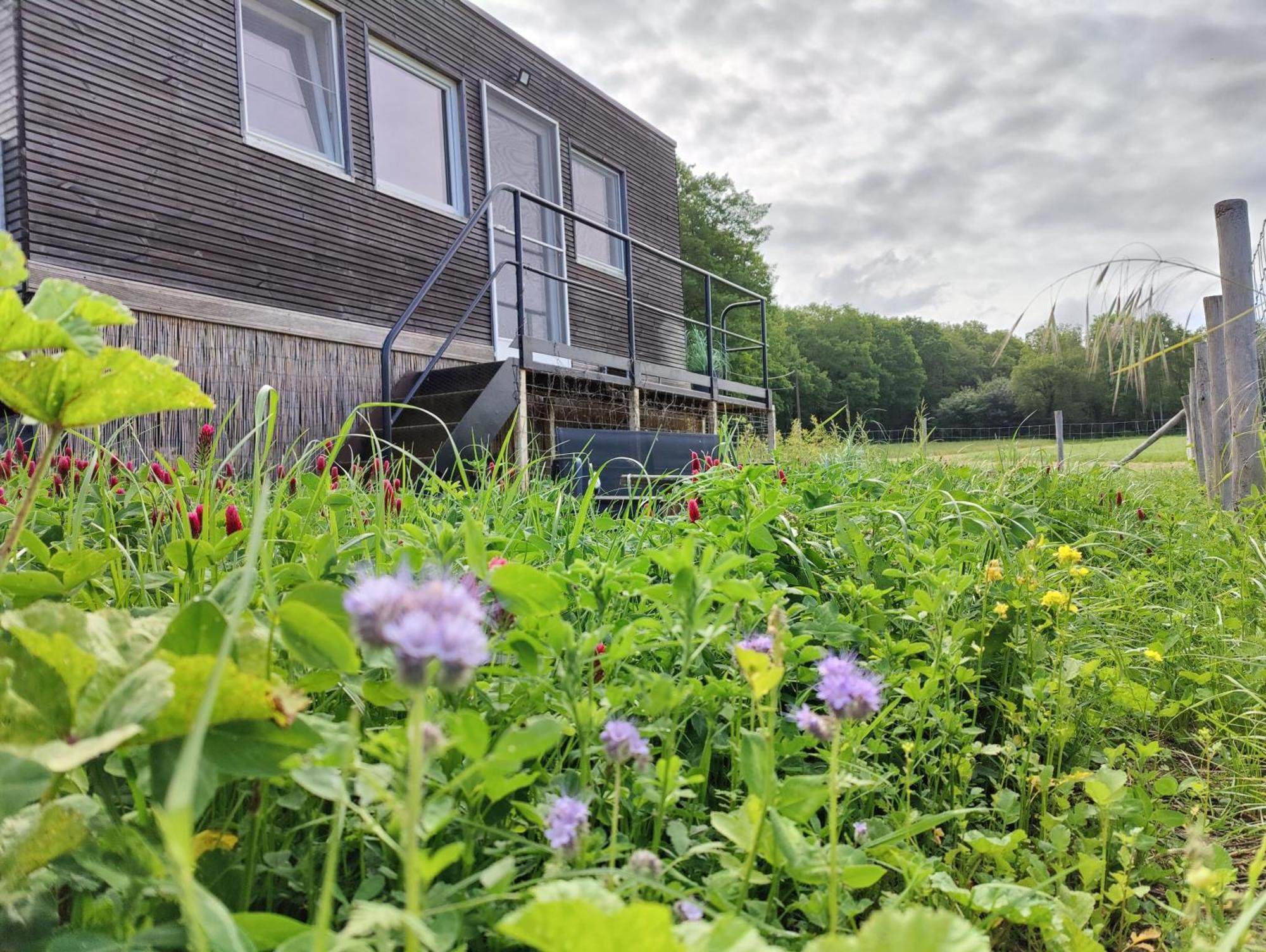 Apartment Lianko - Vakantiewoning *